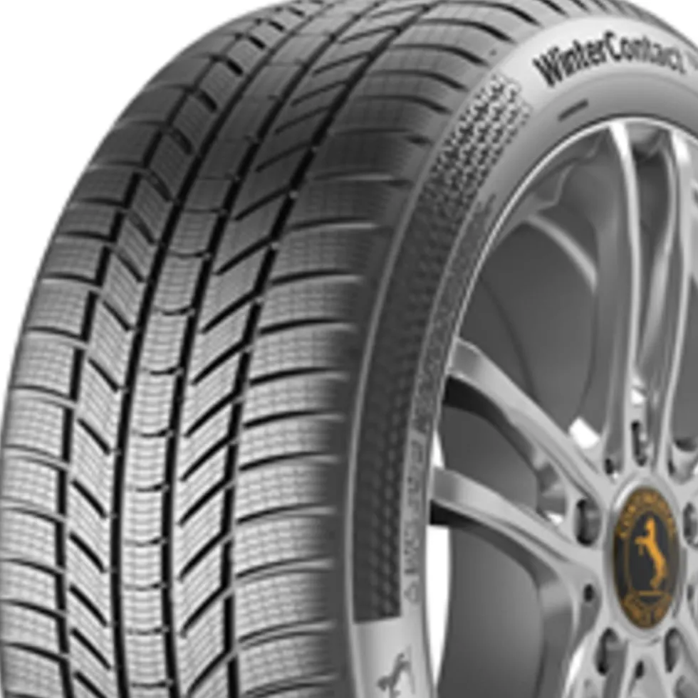 Continental WinterContact TS 870 P 110V